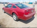 2008 Ford Mustang — photo 3 of 12 | VIN 1ZVHT80N085102883