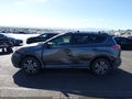 2016 Toyota RAV4 — photo 14 of 16 | VIN JTMZFREVXGJ072598