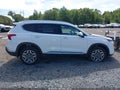 2023 Hyundai Santa Fe Hybrid — photo 13 of 17 | VIN 5NMS3DA10PH021018