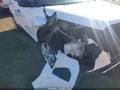 2024 Nissan Kicks — photo 17 of 17 | VIN 3N1CP5BV4RL577700