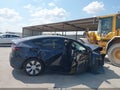 2024 Tesla Model Y — photo 13 of 19 | VIN 7SAYGDEE6RF090332