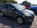 2016 Ford Escape — photo 1 of 12 | VIN 1FMCU0G79GUB90156