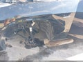 2019 Dodge Challenger — photo 18 of 22 | VIN 2C3CDZAG8KH718951