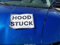2010 Ford Focus — photo 10 of 16 | VIN 1FAHP3FNXAW151192