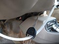 2000 GMC Sonoma — photo 11 of 16 | VIN 1GTCS19W7Y8252474