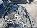 2017 Honda Accord — photo 17 of 21 | VIN 1HGCR2F58HA004645