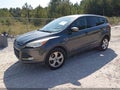 2015 Ford Escape — photo 2 of 11 | VIN 1FMCU0GX6FUA90045