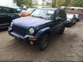 2002 Jeep Liberty — photo 2 of 11 | VIN 1J8GL58K22W231192