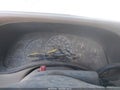 2000 Chevrolet Silverado 1500 — photo 16 of 17 | VIN 2GCEC19TXY1239068
