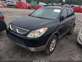 2010 Hyundai Veracruz — photo 2 of 11 | VIN KM8NU4CC5AU118655