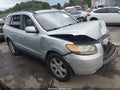2007 Hyundai Santa Fe — photo 1 of 15 | VIN 5NMSH13E87H001244