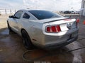 2010 Ford Mustang — photo 3 of 11 | VIN 1ZVBP8AN0A5137633