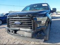 2016 Ford F-150 — photo 6 of 16 | VIN 1FTEX1CF3GKG05393