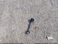 2008 Toyota RAV4 — photo 11 of 16 | VIN JTMZD33V886069144