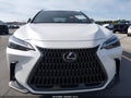 2024 Lexus NX 250 — photo 12 of 16 | VIN JTJADCAZXR5014282