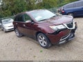 2013 Acura MDX — photo 1 of 21 | VIN 2HNYD2H32DH513358