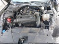 2024 Ford Mustang — photo 10 of 16 | VIN 1FAGP8UH1R5135311