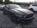 2014 Ford Mustang — photo 17 of 17 | VIN 1ZVBP8AM9E5280383