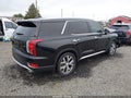 2020 Hyundai Palisade — photo 4 of 17 | VIN KM8R3DHE4LU169601