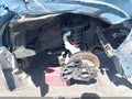 2025 Toyota 4Runner — photo 21 of 22 | VIN JTEVB5BRXS5012859