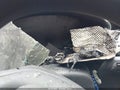 2020 Ford Escape — photo 7 of 10 | VIN 1FMCU9G60LUB45192