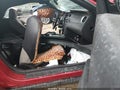2012 Ford Mustang — photo 5 of 16 | VIN 1ZVBP8EM5C5212802