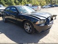 2013 Dodge Charger — photo 1 of 16 | VIN 2C3CDXCTXDH516436