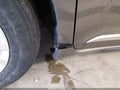 2015 Toyota Sienna — photo 22 of 22 | VIN 5TDYK3DC4FS552951