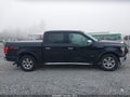 2016 Ford F-150 — photo 13 of 18 | VIN 1FTEW1EG8GKE67732