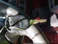 2002 Ford Explorer Sport Trac — photo 11 of 11 | VIN 1FMZU67E92UC05162