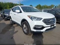 2017 Hyundai Santa Fe — photo 1 of 16 | VIN 5NMZUDLB0HH014007