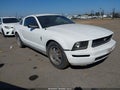 2005 Ford Mustang — photo 1 of 10 | VIN 1ZVHT80N955158896