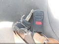 2007 Nissan Xterra — photo 11 of 12 | VIN 5N1AN08U97C512602