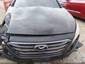 2017 Hyundai Sonata — photo 12 of 16 | VIN 5NPE34AFXHH582551
