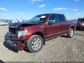 2009 Ford F-150 — photo 2 of 22 | VIN 1FTPW14V89FB35813