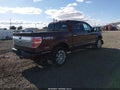 2009 Ford F-150 — photo 4 of 22 | VIN 1FTPW14V89FB35813
