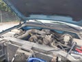 2006 Chevrolet Silverado 1500 — photo 10 of 11 | VIN 1GCEC14X96Z259049