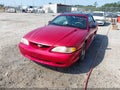 1998 Ford Mustang — photo 6 of 14 | VIN 1FAFP4448WF123342