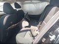 2024 Nissan Altima — photo 8 of 16 | VIN 1N4BL4DV4RN364053