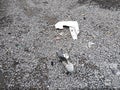 2024 Chevrolet Malibu — photo 12 of 17 | VIN 1G1ZG5ST9RF249388
