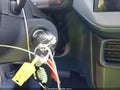 2026 Ford Maverick — photo 11 of 17 | VIN 3FTTW8A31TRA58626