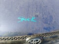 2004 Toyota RAV4 — photo 10 of 11 | VIN JTEGD20V440018187