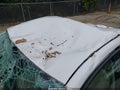 2011 Volkswagen Jetta — photo 18 of 22 | VIN 3VWDZ7AJ9BM381366