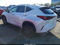 2022 Lexus NX — photo 3 of 20 | VIN 2T2AKCEZ9NC002345