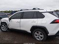 2019 Toyota RAV4 — photo 14 of 16 | VIN JTMW1RFV9KD503939