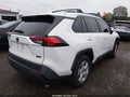 2019 Toyota RAV4 — photo 4 of 16 | VIN JTMW1RFV9KD503939