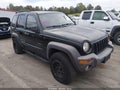 2004 Jeep Liberty — photo 1 of 18 | VIN 1J8GL48K64W289772