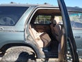 1996 Toyota 4Runner — photo 8 of 10 | VIN JT3HN86R0T0018306