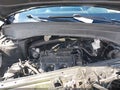 2021 Kia Telluride — photo 10 of 16 | VIN 5XYP3DHC3MG183163