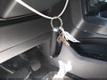 2024 Ford F-150 — photo 11 of 21 | VIN 1FTFW3LD0RFB39497